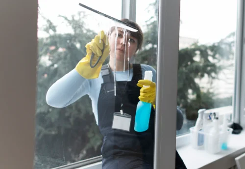 Nettoyage de vitres intérieures et extérieures à Sourniac